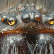 Illustration for article titled These Incredible Microscopic Photos of Small Things Seem Unreal
